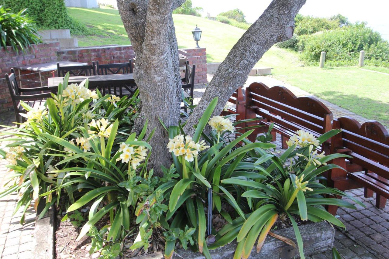 Imperani Apartman Plettenberg Bay Kültér fotó