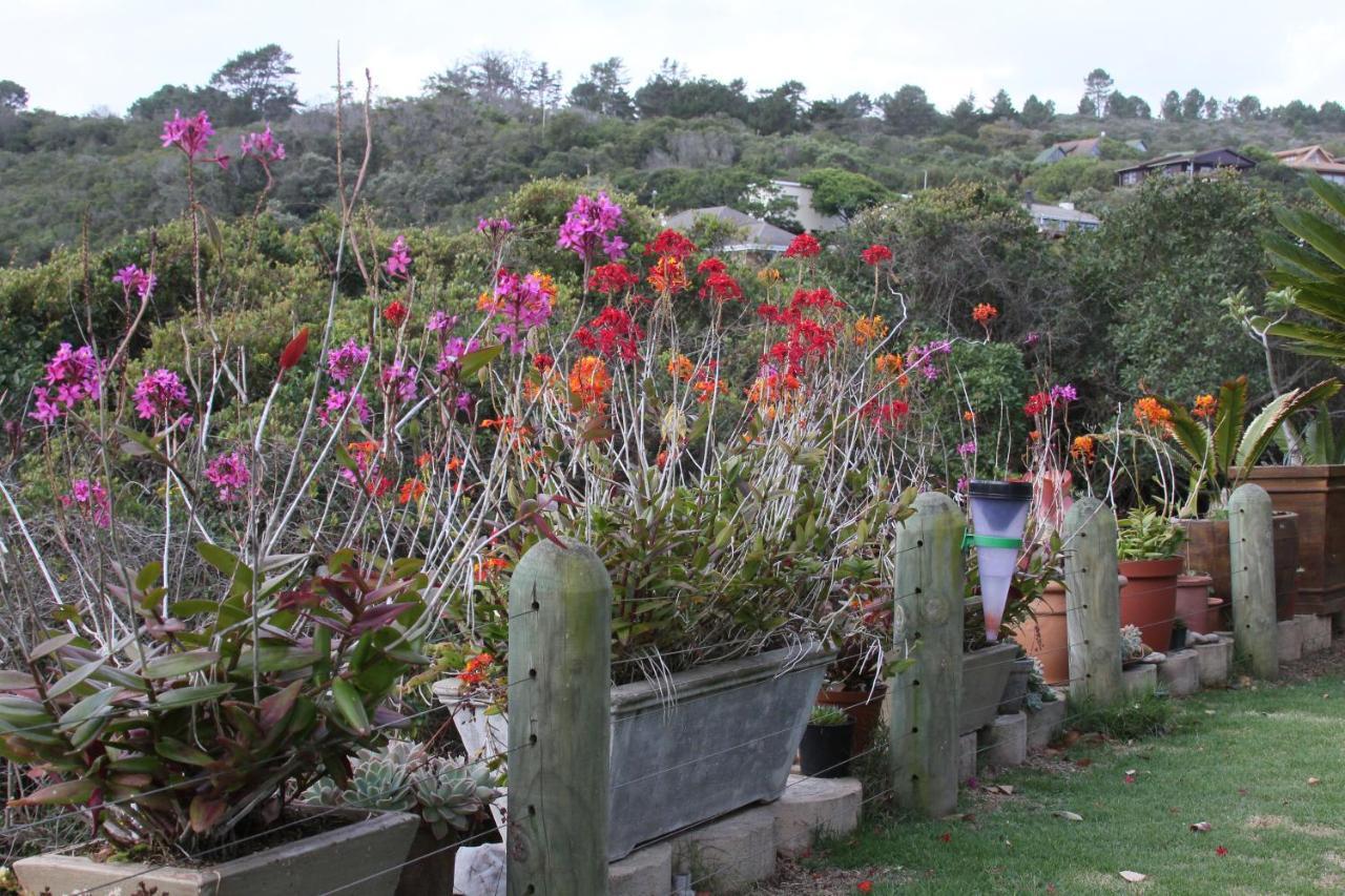 Imperani Apartman Plettenberg Bay Kültér fotó